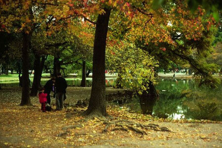 A beautiful park in Buenos Aires.  Some feel this is place where Melvin J. Ballard offered the dedicatory prayer for the preaching of the gospel in South America.
Todd  Stevenson
21 Sep 2002