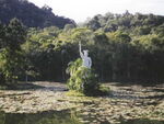 Title: Statue of Liberty in Parquee Malvee