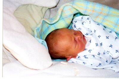 He is a cute baby.  Gets it all from his mother
David Alan Hansen
28 Mar 2004