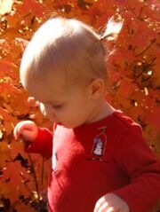 I thought I ought to update you all with a picture of our little girl.  She is now 20 mos. old. Isn't she cute?!
Nicole  Bailey
01 Oct 2005