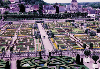 The gardens at Château in Late Spring
Travis J. Moss
14 May 2004