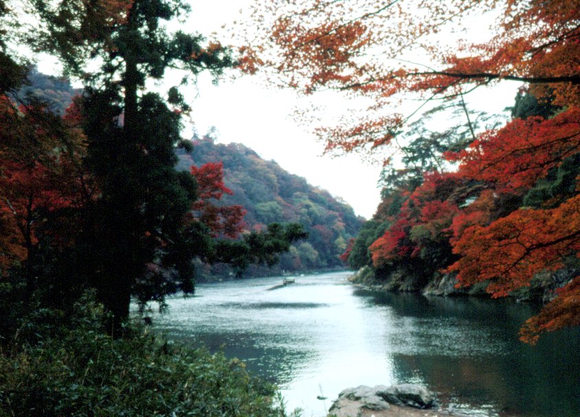 Fall in Arashiyama