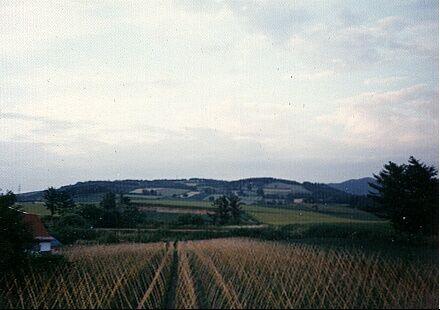 A beautiful pastoral view of the hillsides around Date.(My Favourite Area) June 1987
Mark  Bore
06 Jan 2002