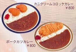 Throughout all of Japan, there are these posters and actual plastic models in windows of restaurants showing the entrees served inside. This was in Hokudai but nothing close to the Master Mori's Katsu Kare up the street in Shikotoni.
Jim Dillon
26 Oct 2004
