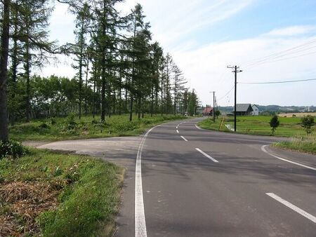 Just a P-day bike ride out to the edge of our Suehiro area on the N.E. side of town.
Jim Dillon
24 Nov 2004