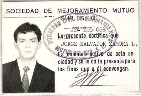 IDENTIFICACION DE LA MISION
Jorge Salvador Zamora Lopez
28 Dec 2008