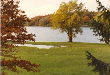 Fall folliage at Cranbrook Prep School near Bloomfield Hills, Michigan (1988).
Daryl  Johnson
17 Feb 2012