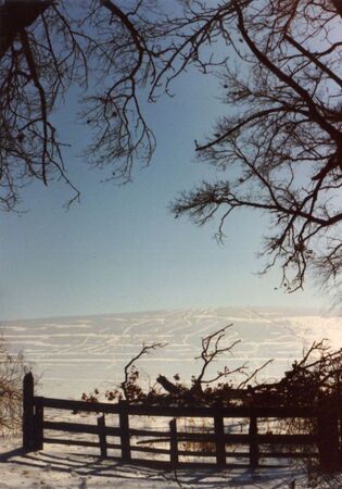 Snow covered hillside in Manchester Township near Dexter, Michigan (1989).
Daryl  Johnson
17 Feb 2012