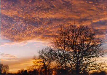 Spectacular winter sunset in Clawson, Michigan (1988).
Daryl  Johnson
17 Feb 2012