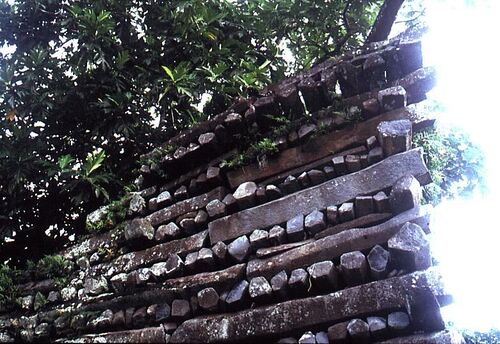 A wall at the prehistoric fortress of Nan Madol. These ruins are built as many stone buildings connected by waterways. Similar construction to ancient ruins of Central and South America.
Chris  Harrison
24 Sep 2002