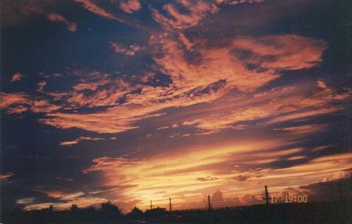 Taken from on top of the Mission Office! 1997
Robert Cory Fratangelo
01 Jun 2004