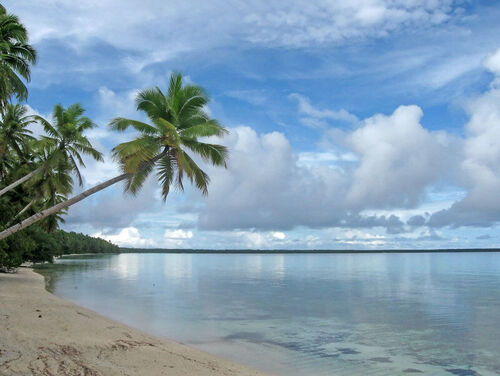 Beach on the ant Lagoon, Pohnpei
BRANDON THOMAS LINDLEY
01 Jan 2007