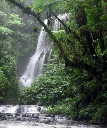 Liduduhniap Twin Waterfalls, Pohnpei
BRANDON THOMAS LINDLEY
01 Jan 2007