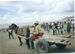 Title: Horse Races at Naadam