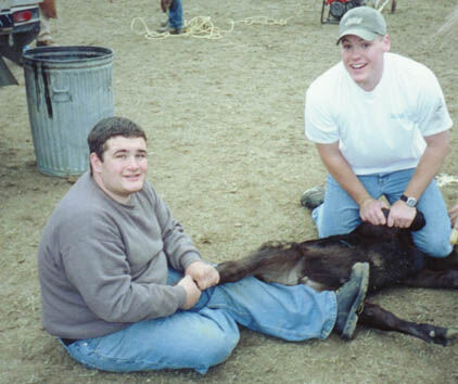 what MBM missionaries do on P-Day.
Allen  Crow
05 Feb 2002