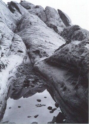 Redrock National Park Scene! Beautiful!!!
Joseph Emanuel Weinberg
12 Feb 2003