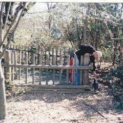 While we were in Cincinnati,  a member took us to the Zoo. I was able to pet a penguin.
Derek Jensen Winters
11 Mar 2014