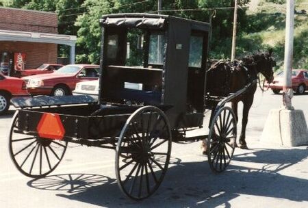 An Amish horse and buggy in Ephrata Pennsylvania, in the parking lot of a grocery store accross the street from the missionary apartment at the time in 1993.  You can't miss them in Lancaster county.
Craig R Ruefenacht
25 Oct 2006