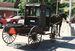 Title: Amish Horse and Buggy