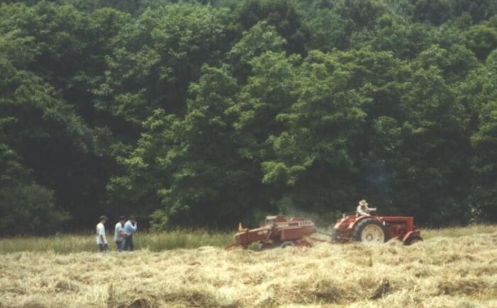 Elders Coombs, Peterson, and Heaton walk behind Brother McCalvain (on tractor).
Travis Melvin Heaton
11 May 2005