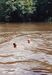 Title: Lowe and Morzeleski swimming in the Amazon