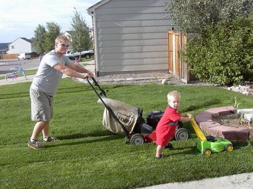 Couldn't get the job done with the help of my son.
Justin J. Cooper
12 Aug 2005