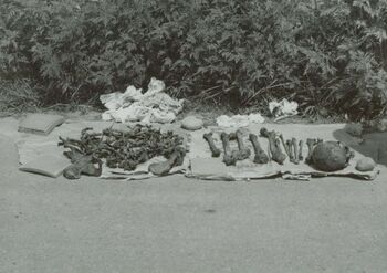 As most Elders know, bones are often dug up and then reburied.  Shot west of Chung Li in Summer 1972
Michael Wayne Hardy
13 Jun 2004