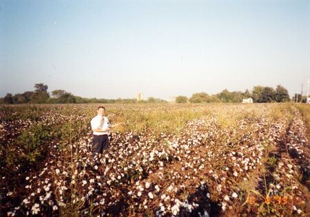 A cotton field outside of Nashville
Justin LeGrand Vipperman
14 Feb 2006