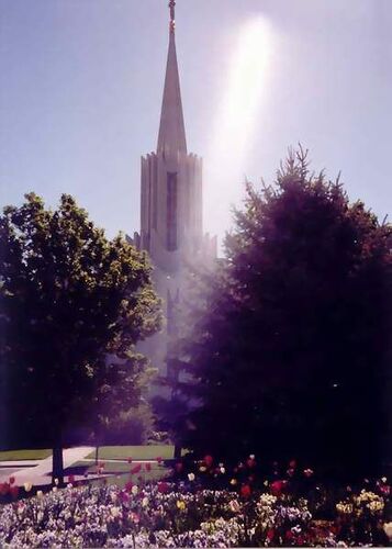 I saw a pillar of light......shining on the temple.
Todd C Strelka
17 Aug 2002