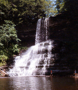 Cascade Falls located on Little Stoney Creek in Pembroke, VA
Kelly  Olsen
24 Sep 2007