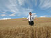 Title: Colfax Wheat field