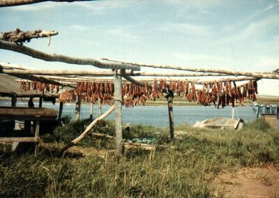 Fish drying on racks at fish camp in Nome
Roselyn  Adams
16 Nov 2001