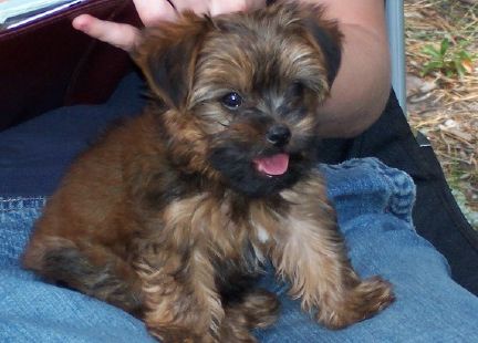 Blake D. Hansen Alumni Photo