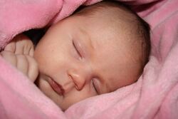 Mitch Dabo Alumni Photo