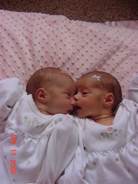 Josiah Campanella Dahlstrom Alumni Photo