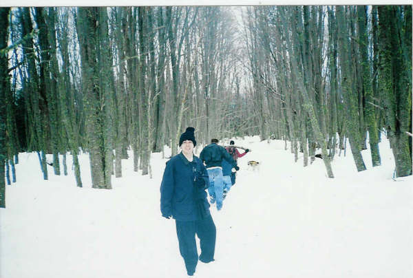 falda de la montaña - ushuaia
Sebastian Andres Rodriguez
04 Mar 2006