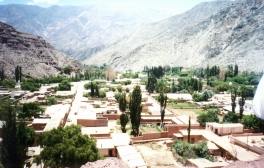 This is a view of the town Purmamarca, which is about an hour and a half north of San Salvador. There aren't missionaries there, but it is a popular P-Day destination. I went in December and the weather was perfect (as opposed to the usual miserable hot it always is.)
David  Sallay
24 May 2004