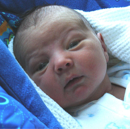 Here's Joshy 5 days old.
Heather  Safsten - Jackson
08 Apr 2005