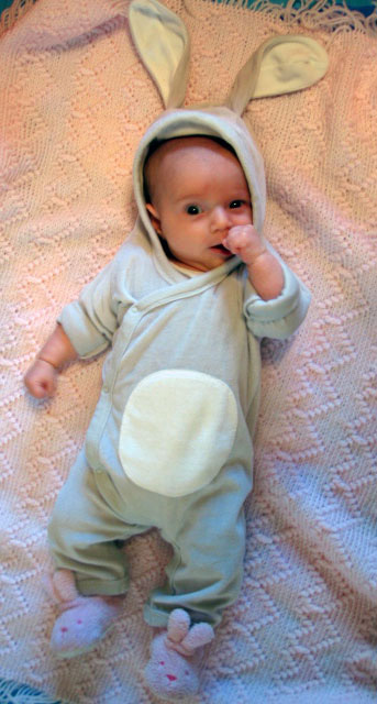 Durante la Pascua pasada saquimos esta foto
Michael Frederick Laughead
20 Jun 2005