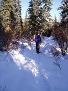 A snowy White Mountain Trail
Nigel G. Wappett
04 Nov 2004