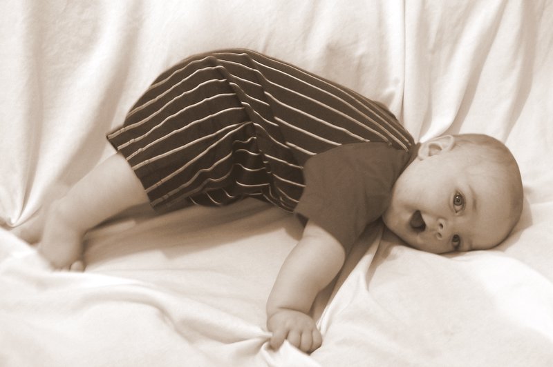 Here's our cute little boy Joseph.  He's 6 months old already!
Jacob Lehi Harwood
09 Jul 2006