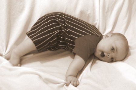 Here's our cute little boy Joseph.  He's 6 months old already!
Jacob Lehi Harwood
09 Jul 2006