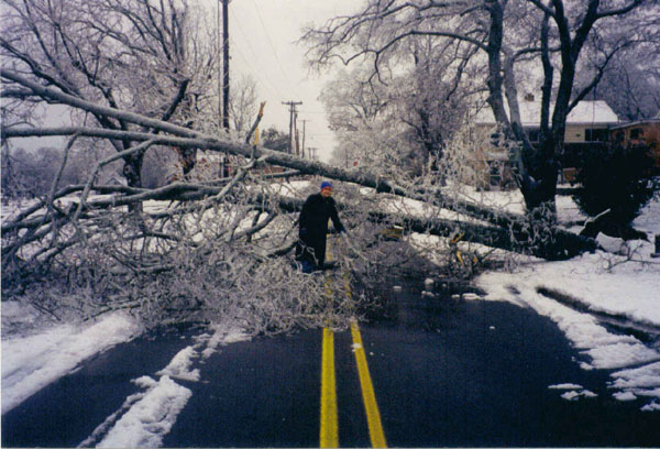 Trees like this were down everywhere...
Melissa M Smith
04 Jan 2002