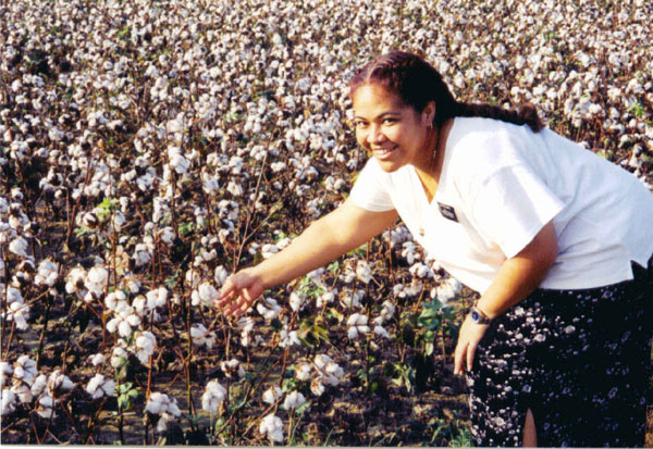 Sis Mapu cotton pickin'
Melissa M Smith
04 Jan 2002