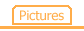 Pictures