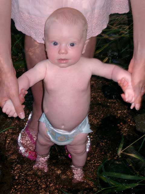 William Ross Snyder Alumni Photo