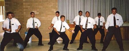 It wouldn't be a ASNM site without the haka
Robin J Clark
01 May 2002