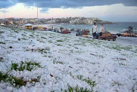 Sydney snow
Ronald R Shiflet
23 Sep 2004