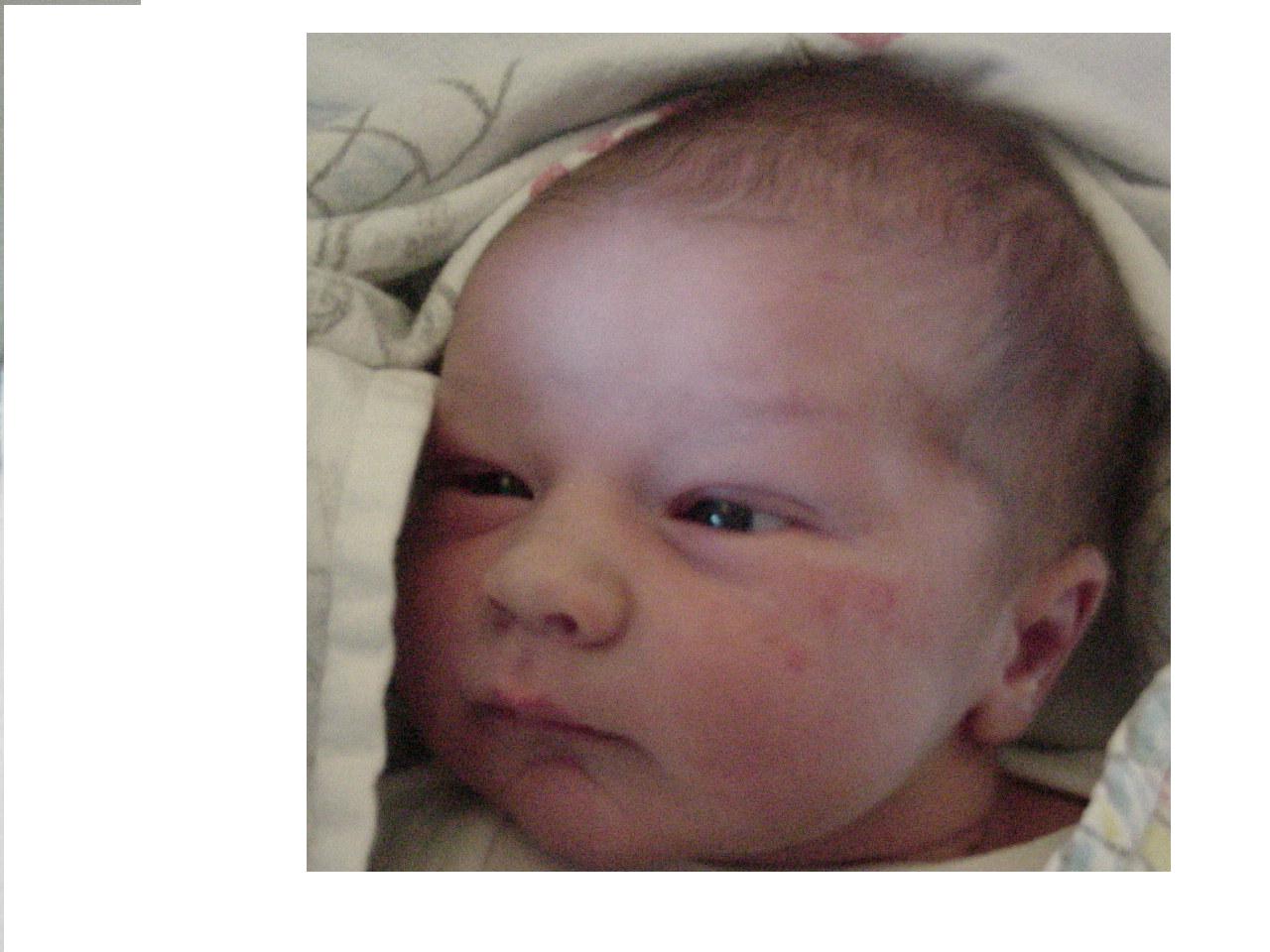 Matthew Blaine Michaelis Alumni Photo