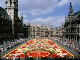 A picture of the carpet of flowers in Brussels
Randy  Van Horn
12 Nov 2002